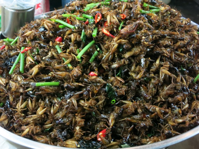 Cambodia grasshopper snack